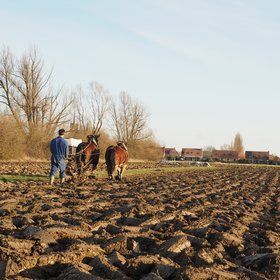 LA FERME DES LOUFS